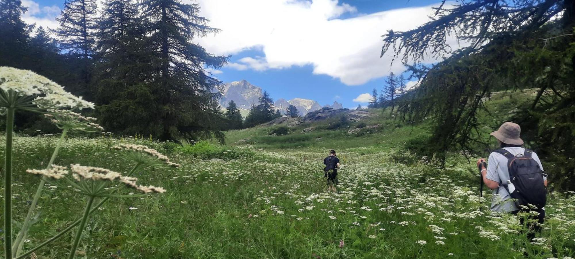 Superbe T2 A 2 Pas Des Pistes Et Des Sentiers De Randonnee Lejlighed Briançon Eksteriør billede